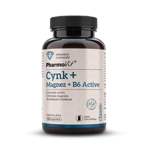 Cynk + Magnez + B6 Active 120 kaps | Classic PV